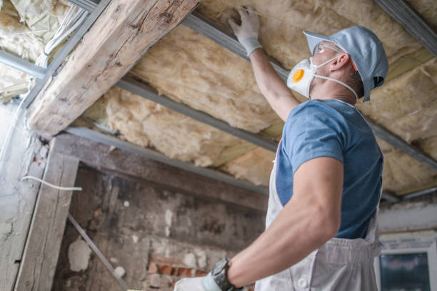 Best Attic Insulation Installation  in Flower Mound, TX