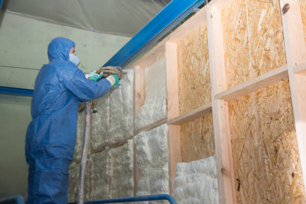 Best Insulation Contractors for Homes  in Flower Mound, TX